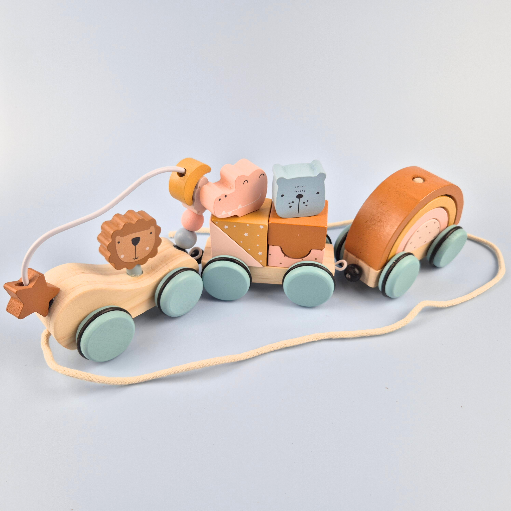 Wooden_Animal_block_shape_matching_pulling_train full image